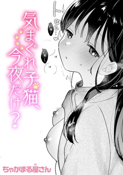 気まぐれ子猫、今夜だけ？