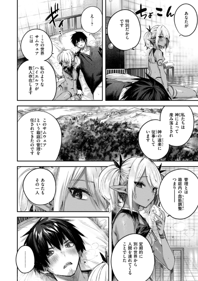 独身ハンターの出逢いはエルフの森で【単行本版】