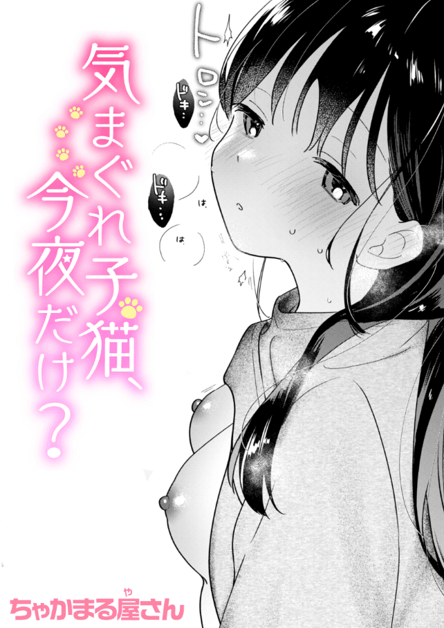 気まぐれ子猫、今夜だけ？